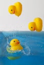 Yellow rubber ducks bathe, background for baby products for washing Royalty Free Stock Photo