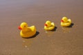 Yellow rubber ducks on the beach Royalty Free Stock Photo