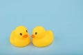 Yellow rubber ducks on blue background Royalty Free Stock Photo