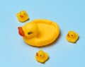 Yellow rubber ducks on a blue background, children\'s toy, top view Royalty Free Stock Photo