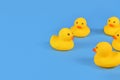 Yellow rubber ducks on blue background Royalty Free Stock Photo