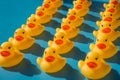 Yellow rubber ducks on a blue background with hard shadows Royalty Free Stock Photo