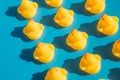 Yellow rubber ducks on a blue background with hard shadows Royalty Free Stock Photo