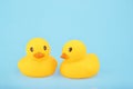 Yellow rubber ducks on blue background Royalty Free Stock Photo