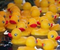 Yellow Rubber Ducks Floating in a Pool Royalty Free Stock Photo