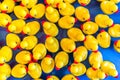 Yellow rubber ducks floating on water Royalty Free Stock Photo