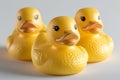 yellow rubber ducks isolated on white background, front view, side view and back view Royalty Free Stock Photo