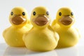 yellow rubber ducks isolated on white background, front view, side view and back view Royalty Free Stock Photo