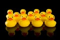 Yellow Rubber Ducks in Rows Royalty Free Stock Photo