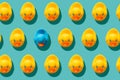 Yellow rubber ducks on turquoise blue background one duck different Royalty Free Stock Photo