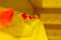 Yellow rubber ducks on wall shelf Royalty Free Stock Photo