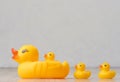 Yellow rubber ducks on a white background, children\'s toy Royalty Free Stock Photo