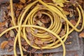 Yellow rubber garden water hose Royalty Free Stock Photo