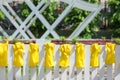 Yellow rubber gloves for work in a garden and a kitchen dry on a white fence in the summer