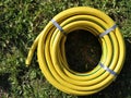 Yellow rubber new hose coiled into a ring Royalty Free Stock Photo