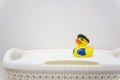 Yellow rubber pirate duck in bathroom Royalty Free Stock Photo