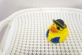 Yellow rubber pirate duck in bathroom Royalty Free Stock Photo