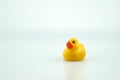 Yellow rubber toy duck