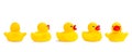 Yellow rubber toy ducks in different views isolated