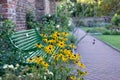 Yellow rudbeckia flowers in front of green garden bench at Eastcote House historic walled garden in Hillingdon, London UK Royalty Free Stock Photo