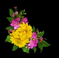 Yellow rudbeckia and freesia flowers with green leaves in a corner arrangement isolated on black Royalty Free Stock Photo