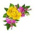 Yellow rudbeckia and freesia flowers with green leaves in a corner arrangement Royalty Free Stock Photo