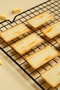 Yellow Saltine Crackers Royalty Free Stock Photo