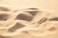 Yellow sand in the arab desert.