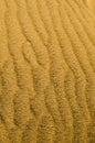 Yellow sand desert dunes.Drought, arid climate.Martian surface.