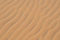 Yellow sand in the desert, Vietnam Royalty Free Stock Photo