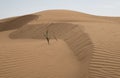 Yellow sand dunes in the desert