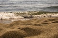 Yellow sand and sea waves. Ada Bojana Beach. Montenegro