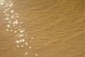 Yellow sand in the shallow waters of the sea. Small dunes on the sand under clear light water. The sun glare is Royalty Free Stock Photo