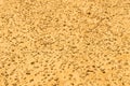 Yellow sand texture background with sand grains Royalty Free Stock Photo