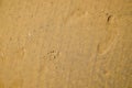 Yellow sandy beach, footprints Royalty Free Stock Photo