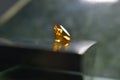 Yellow sapphire, expensive luxury for marking