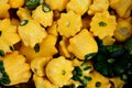 Yellow scallopini squash, Cucurbita pepo