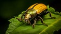 yellow scarab beetle on green leaf, AI Generative