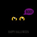 Yellow scary ghost eyes which is scare boo. flat illustration isolated on black background