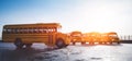 Yellow school bus fleet on parking Royalty Free Stock Photo