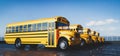 Yellow school bus fleet on parking