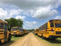 Yellow School Busses Royalty Free Stock Photo