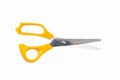 The yellow scissors