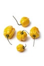 Yellow Scotch bonnet chili peppers Royalty Free Stock Photo