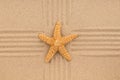 Yellow sea star lies in the center of a lines of sand. Summer concept. Royalty Free Stock Photo