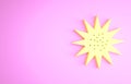 Yellow Sea urchin icon isolated on pink background. Minimalism concept. 3d illustration 3D render Royalty Free Stock Photo