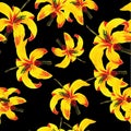 Yellow Seamless Hibiscus. Black Pattern Exotic. Golden Tropical Hibiscus. Beige Flower Exotic. Floral Exotic. Wallpaper Palm.