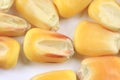 Yellow Seed Corn Royalty Free Stock Photo