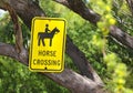 A yellow shaped Quarter horse crossing sign with a horse and rider symbol Royalty Free Stock Photo