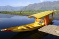 Yellow Shikara in the Dal Lake of Srinagar Royalty Free Stock Photo